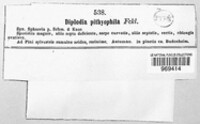 Image Associated With the Occurence